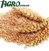 1agro.com.ua