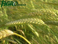 1agro.com.ua
