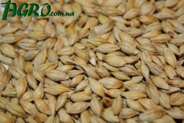 1agro.com.ua