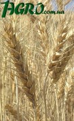 1agro.com.ua