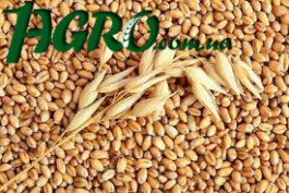 1agro.com.ua