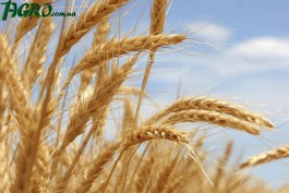 1agro.com.ua