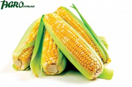 1agro.com.ua