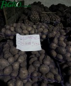 1agro.com.ua