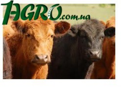 1agro.com.ua