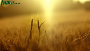 1agro.com.ua
