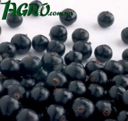 1agro.com.ua