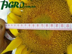 1agro.com.ua