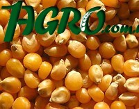 1agro.com.ua