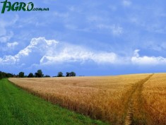 1agro.com.ua
