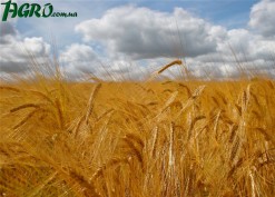 1agro.com.ua