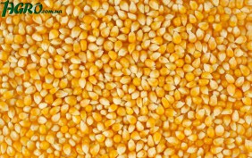 1agro.com.ua