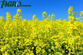 1agro.com.ua