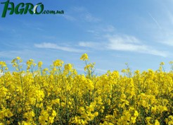 1agro.com.ua