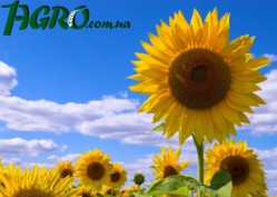 1agro.com.ua