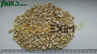 1agro.com.ua