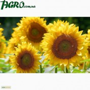 1agro.com.ua