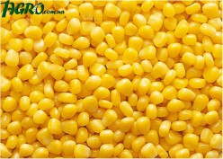 1agro.com.ua