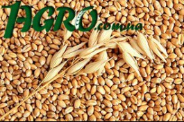 1agro.com.ua