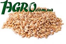 1agro.com.ua