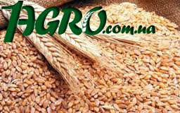 1agro.com.ua