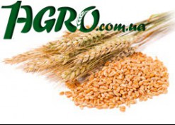1agro.com.ua