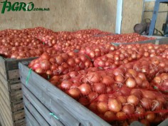 1agro.com.ua