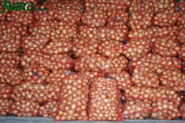 1agro.com.ua