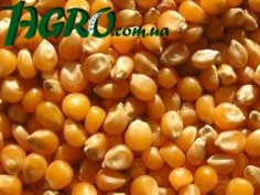 1agro.com.ua
