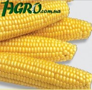 1agro.com.ua