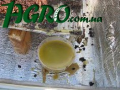1agro.com.ua