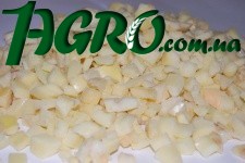 1agro.com.ua