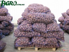 1agro.com.ua