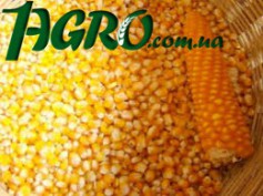 1agro.com.ua