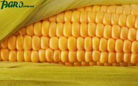 1agro.com.ua