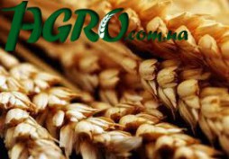 1agro.com.ua