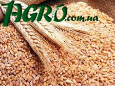1agro.com.ua