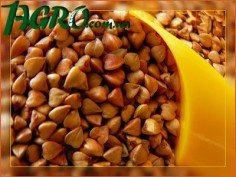1agro.com.ua