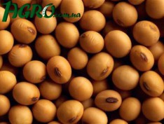 1agro.com.ua
