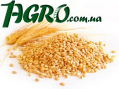 1agro.com.ua