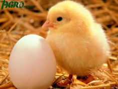 1agro.com.ua