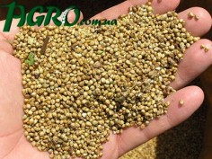 1agro.com.ua