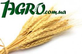 1agro.com.ua