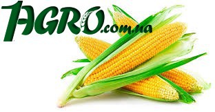 1agro.com.ua