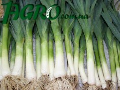 1agro.com.ua