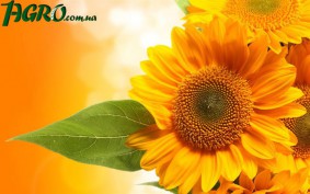 1agro.com.ua