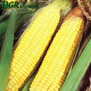 1agro.com.ua