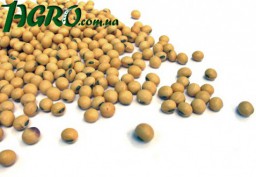 1agro.com.ua