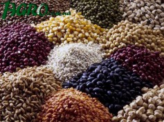 1agro.com.ua
