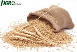 1agro.com.ua